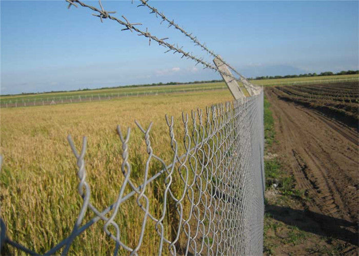 Hot Dipped Galvanized And Powder Coated Chain Link Fence With Gate For Farm